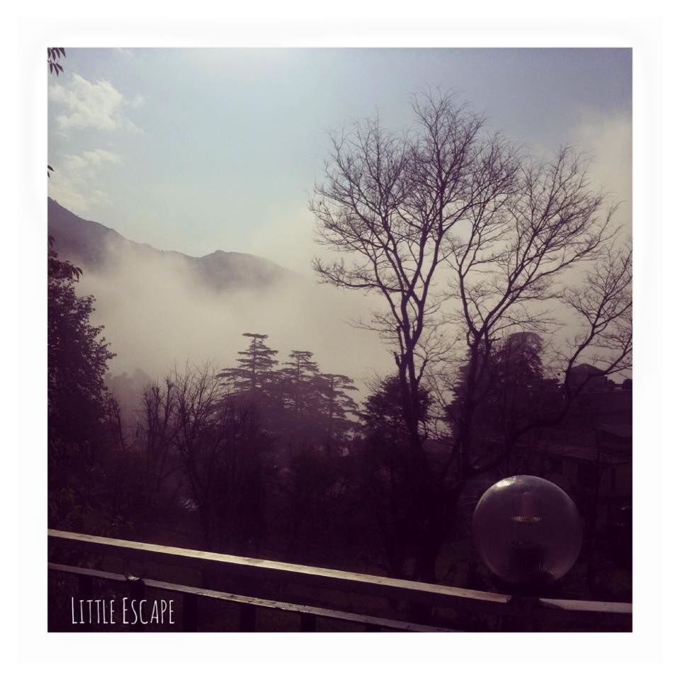 Photo of Trail to Triund Hill, McLeod Ganj, Dharamshala, Himachal Pradesh 4/7 by Priyal Gaur