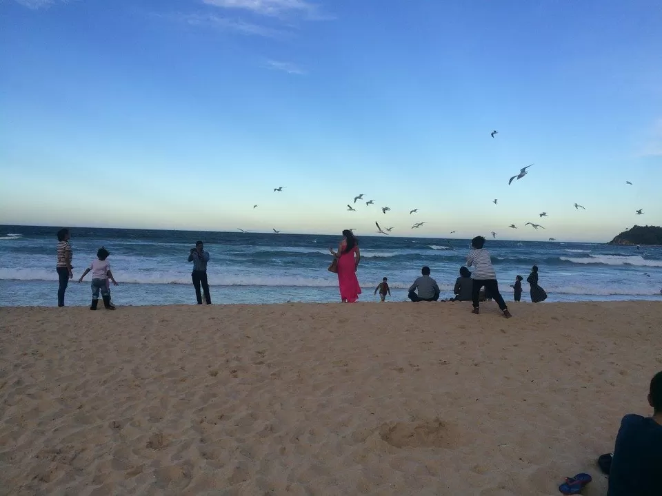 Photo of Shelly Beach, Manly, New South Wales, Australia by Avleenkaur