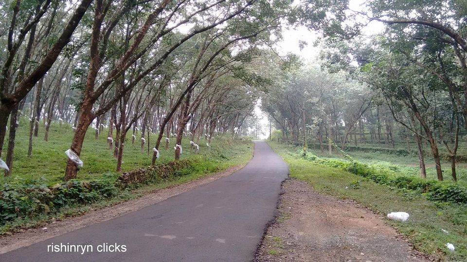 Photo of Siruvani Dam, Palakkad, Kerala, India by Rishi Narayanan