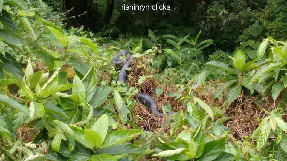 Photo of Siruvani Dam, Palakkad, Kerala, India by Rishi Narayanan