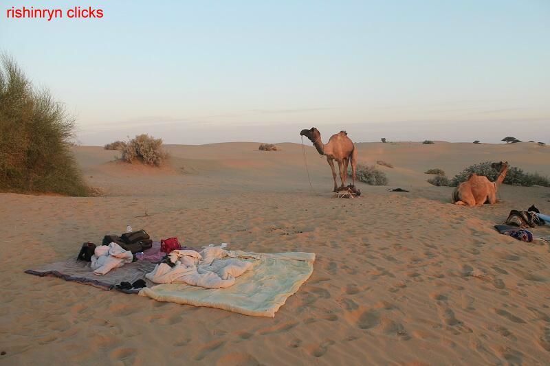 Photo of Ever slept in open sky in desert?? by Rishi Narayanan