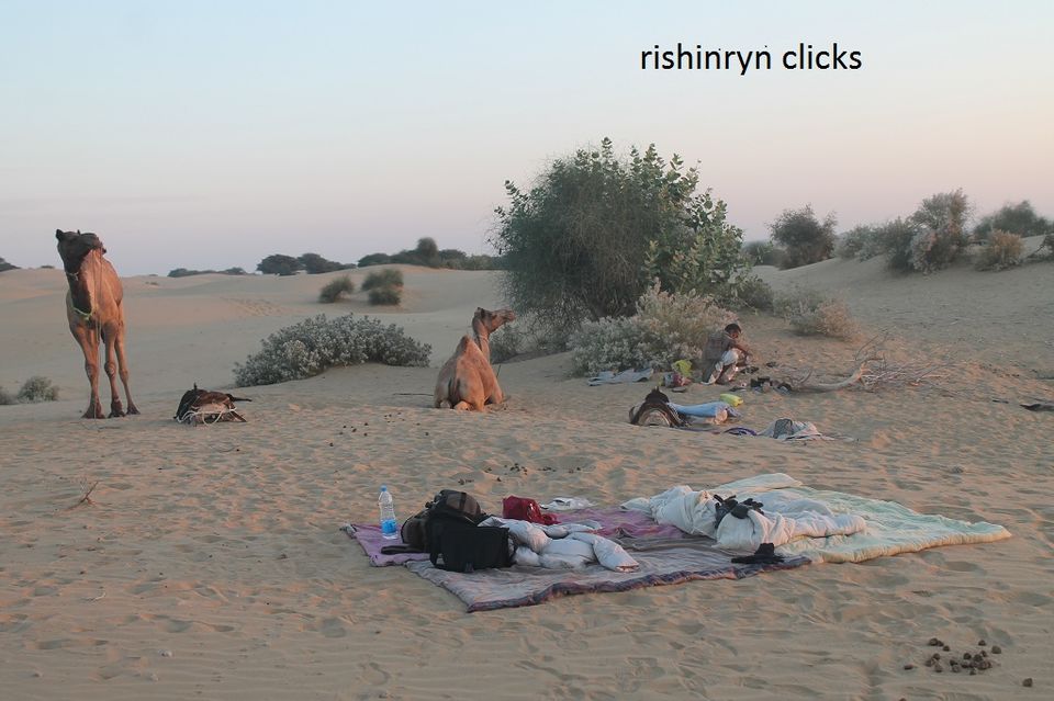 Photo of Ever slept in open sky in desert?? 1/1 by Rishi Narayanan