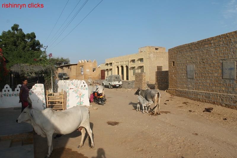 Photo of Ever slept in open sky in desert?? by Rishi Narayanan