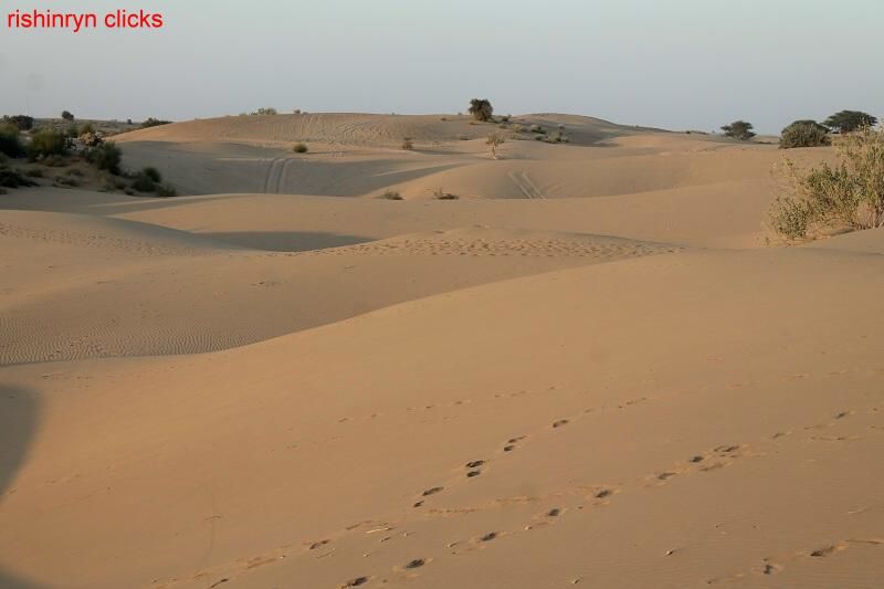 Photo of Ever slept in open sky in desert?? by Rishi Narayanan