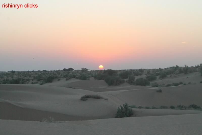 Photo of Ever slept in open sky in desert?? by Rishi Narayanan