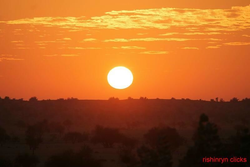 Photo of Khuri Sandunes, Dhoba, Rajasthan, India by Rishi Narayanan