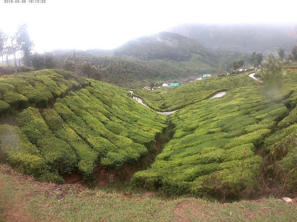 Photo of Keep these thing in mind before you set to Munnar to see 'Neelakurinji' by Rishi Narayanan