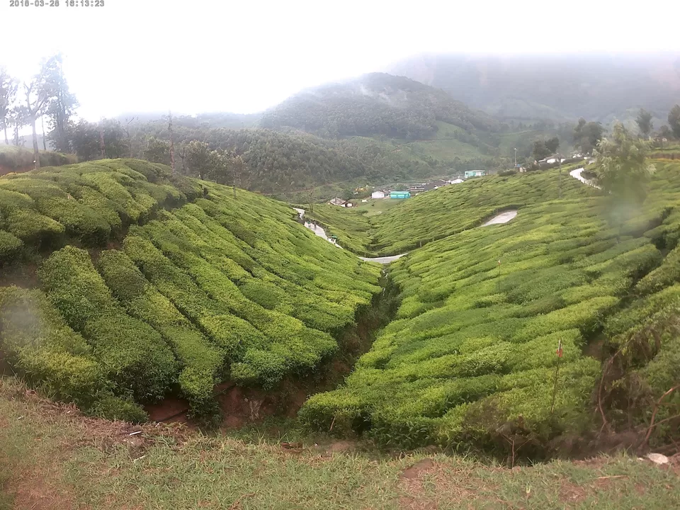 Photo of Eravikulam National Park Road, Kannan Devan Hills, Kerala, India by Rishi Narayanan