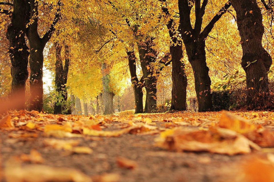 Photo of Fall Getaways by Victoria Twyckenham