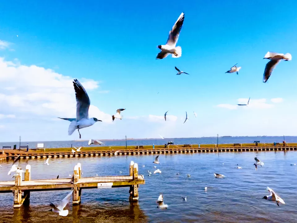 Photo of Volendam By Monisha
