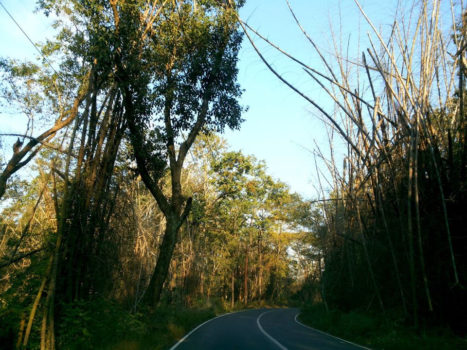 Photo of Wayanad Wildlife Sanctuary, Thirunelli Pakshipathalam Trek, Pothumoola, Panavally, Kerala 670646, India by Sananda Mukherjee