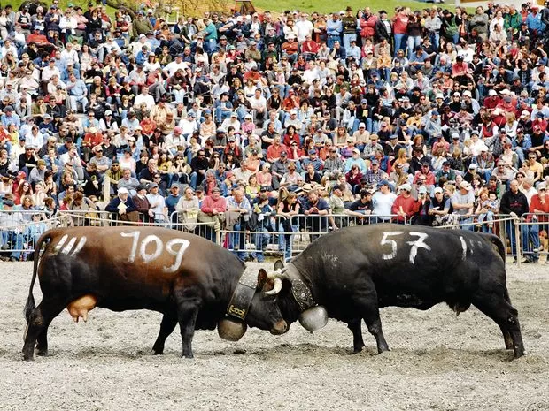 Photo of Aproz, Switzerland by Dronacharya Dave