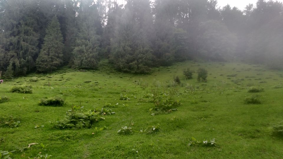 Photo of A Himalayan Village, An Unfinished Trek, And A Mysterious Temple – A Weekend That Changed Everything 8/13 by Dronacharya Dave