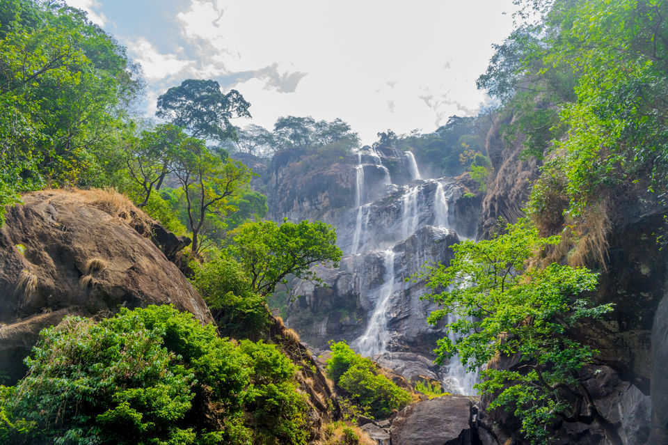 Photo of Udzungwa Mountains, Iringa, Iringa Region, Tanzania by Lychee's itineraries