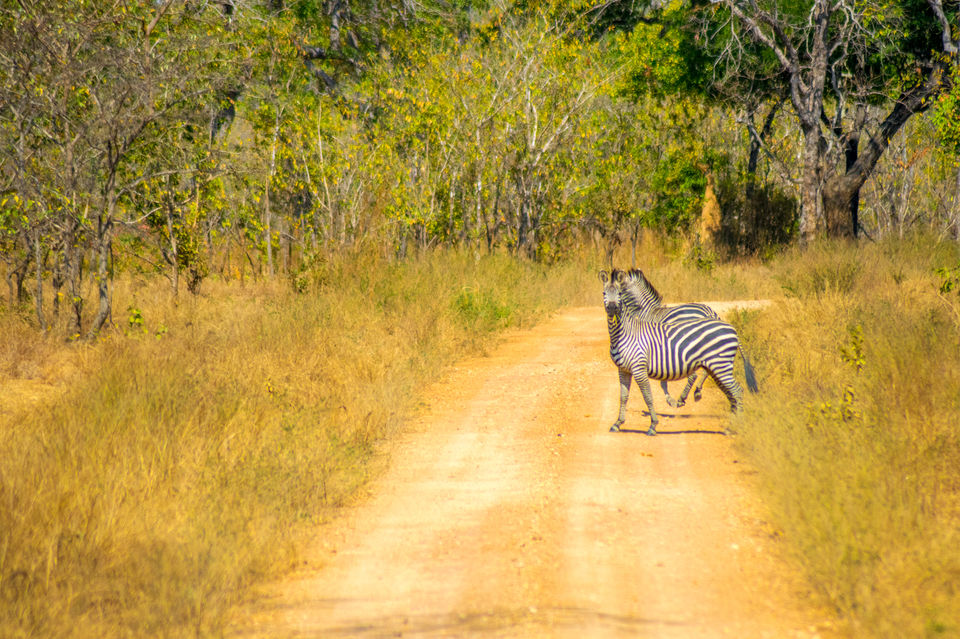 Photo of Morogoro Region, Tanzania by Lychee's itineraries