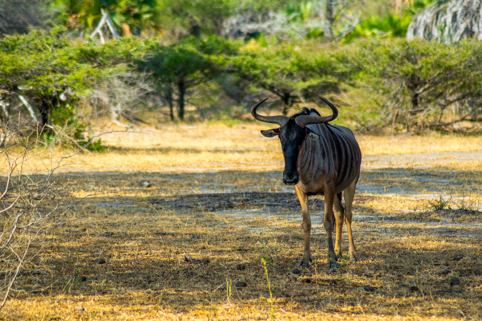 Photo of Morogoro Region, Tanzania by Lychee's itineraries