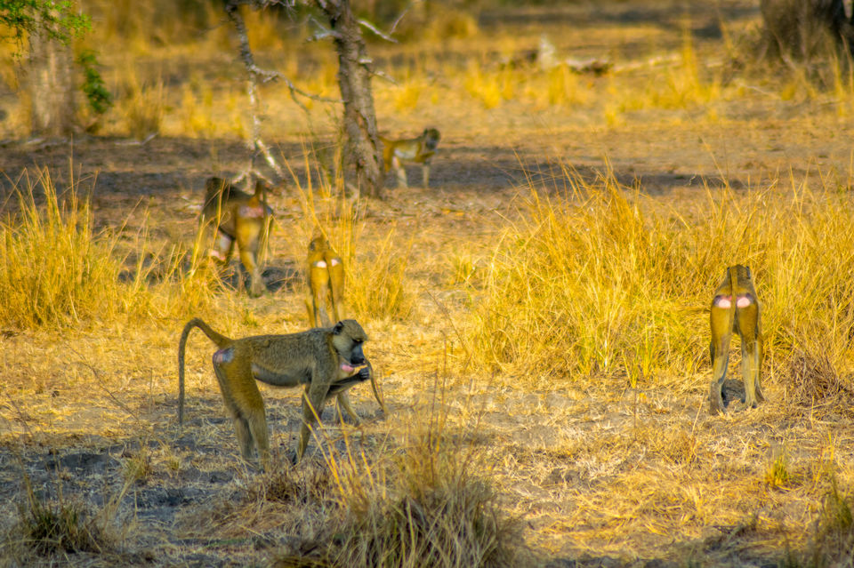 Photo of Morogoro Region, Tanzania by Lychee's itineraries