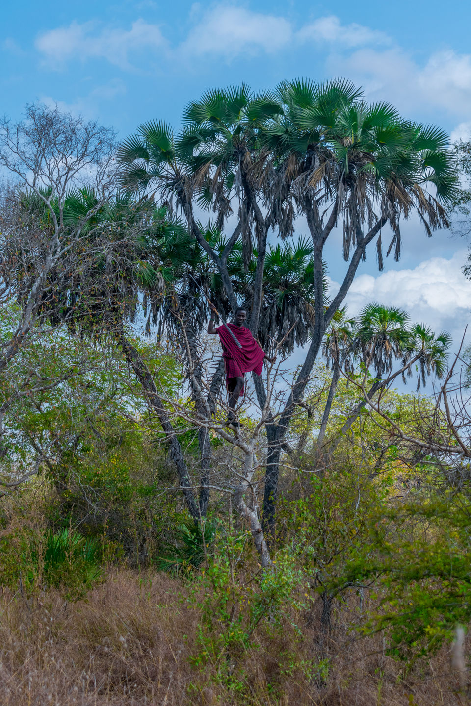 Photo of Selous Game Reserve, Morogoro, Morogoro Region, Tanzania by Lychee's itineraries