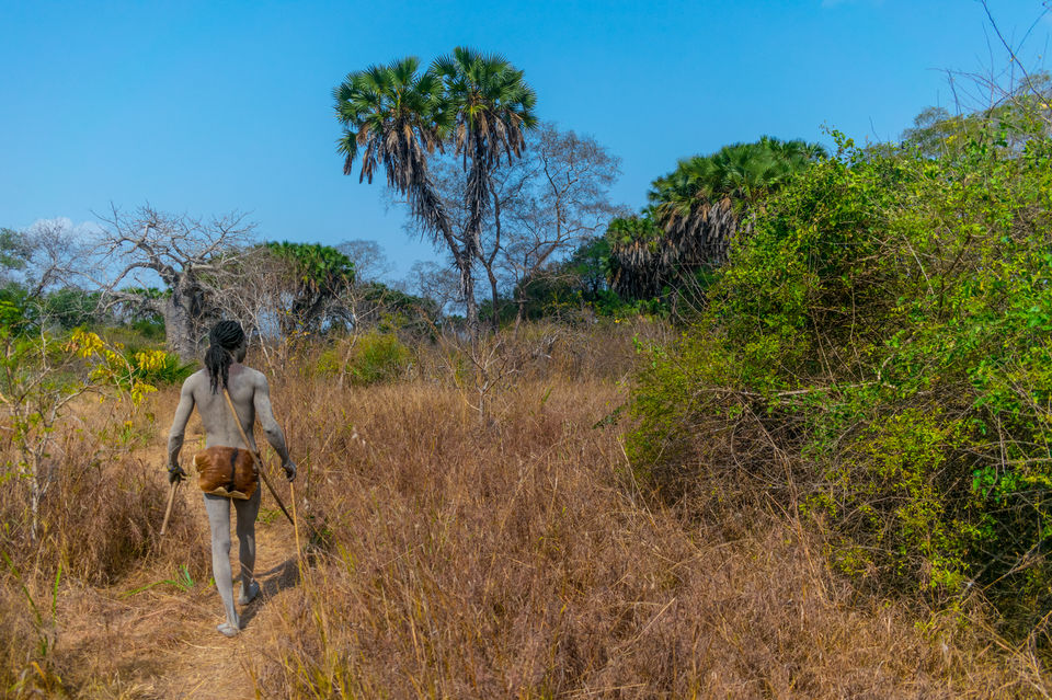 Photo of Selous Game Reserve, Morogoro, Morogoro Region, Tanzania by Lychee's itineraries