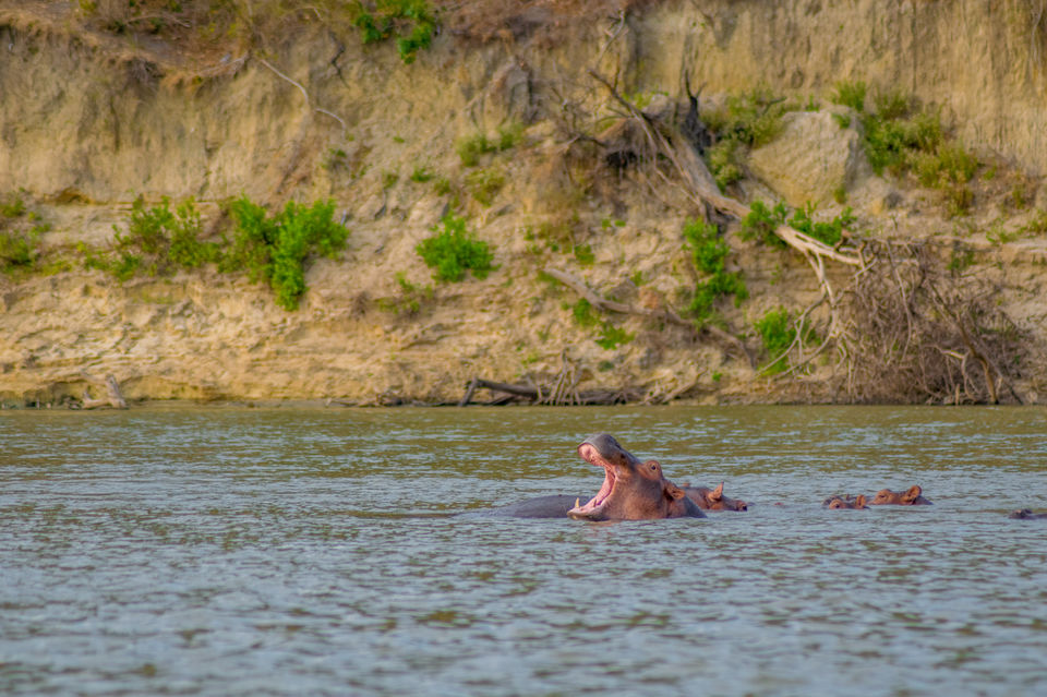 Photo of Tanzania - Safaris & beaches by Lychee's itineraries