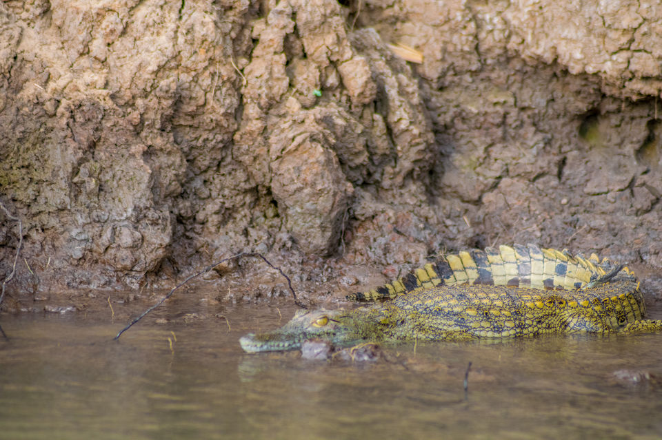 Photo of Tanzania - Safaris & beaches by Lychee's itineraries
