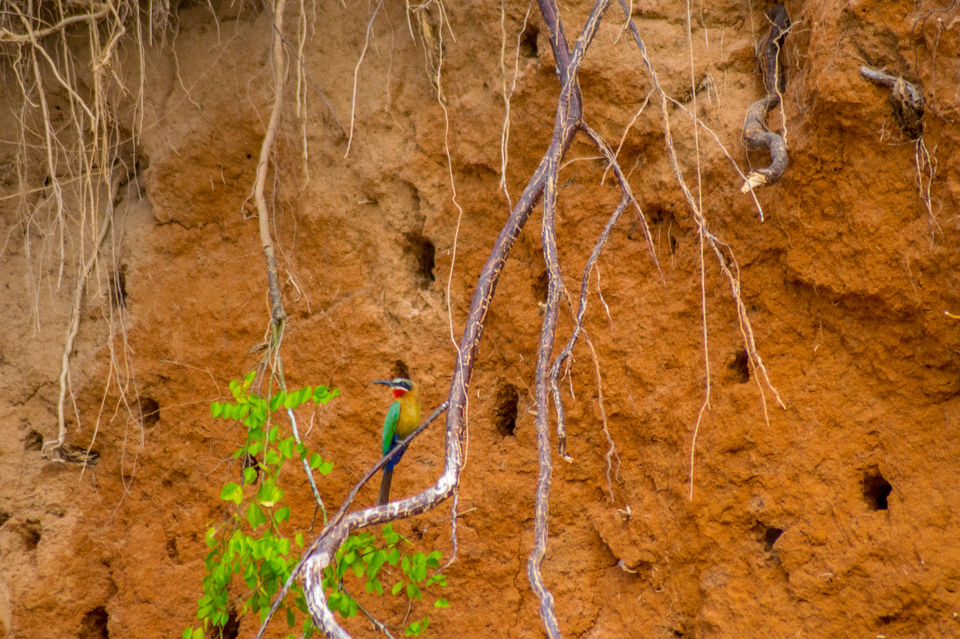 Photo of Tanzania - Safaris & beaches by Lychee's itineraries