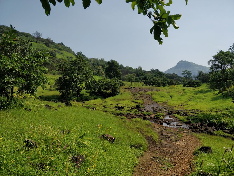 Photo of Andharban Trek: The Verdant Valley by Soumya Ranjan Swain