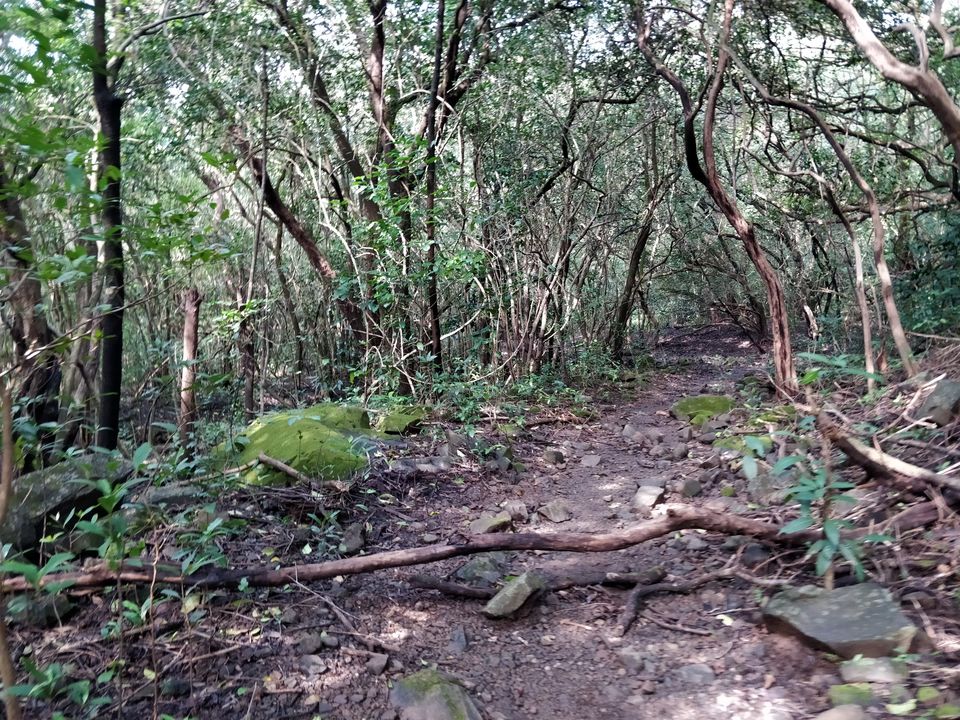 Photo of Andharban Trek: The Verdant Valley by Soumya Ranjan Swain