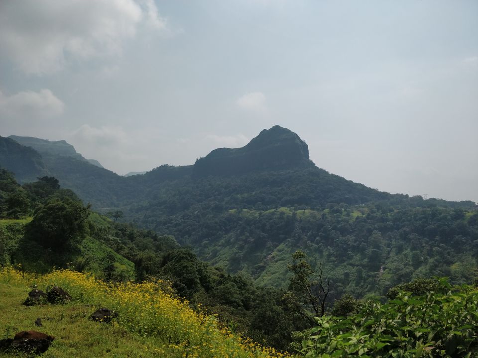 Photo of Andharban Trek: The Verdant Valley by Soumya Ranjan Swain