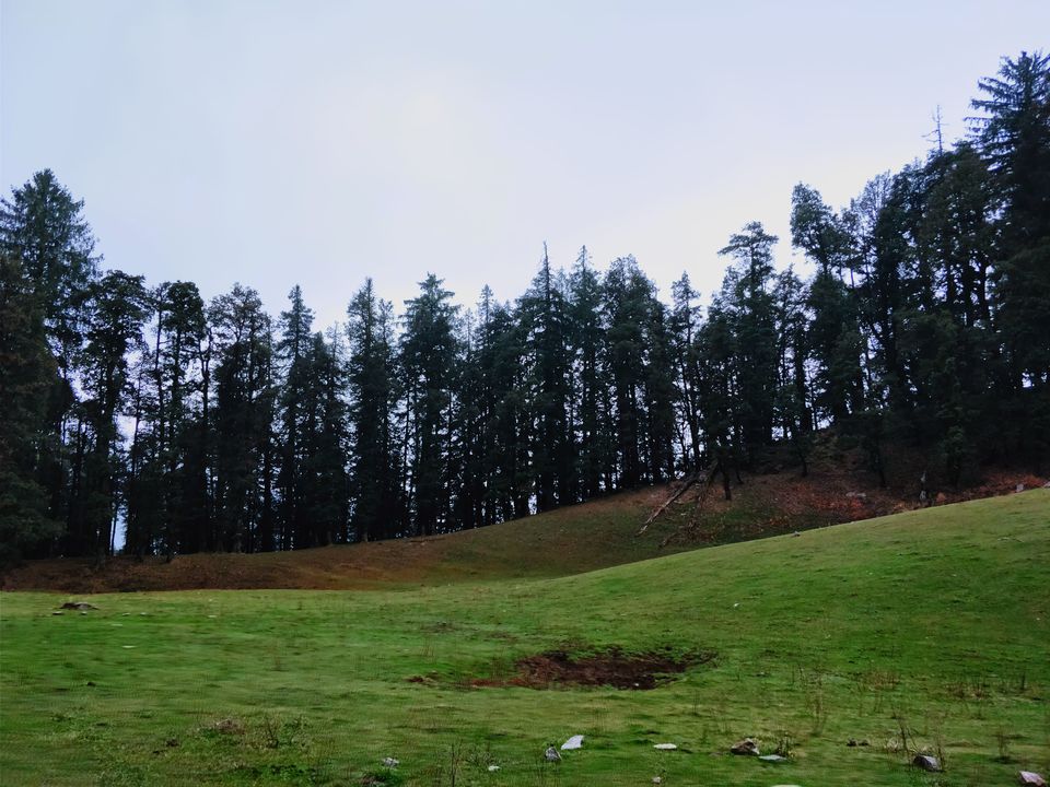 Photo of Into the woods of the Great Himalayas 3/8 by Soumya Ranjan Swain