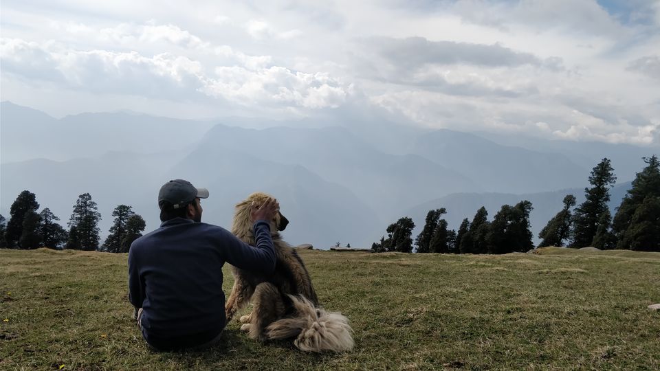 Photo of Into the woods of the Great Himalayas 4/8 by Soumya Ranjan Swain
