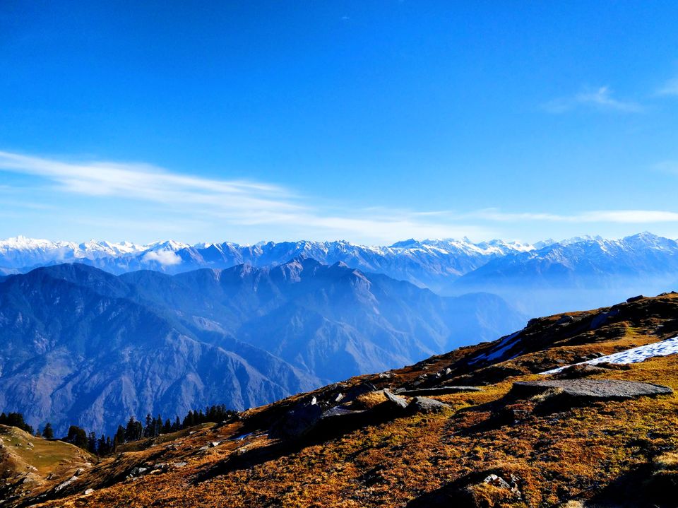 Photo of Into the woods of the Great Himalayas 6/8 by Soumya Ranjan Swain