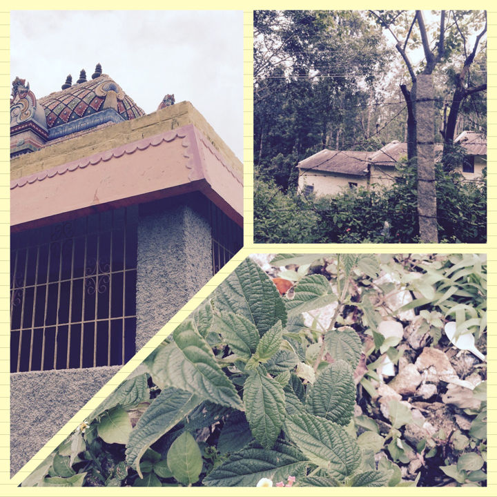 Photo of Bangalore to Yercaud! 6/6 by Deeksha
