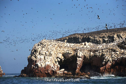 Photo of Ballestas Islands, Peru by I Have Travel Lust