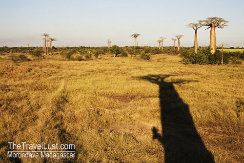 Photo of Travel Guide to Madagascar 1/4 by I Have Travel Lust