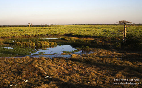 Photo of Travel Guide to Madagascar 2/4 by I Have Travel Lust
