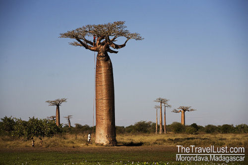 Photo of Travel Guide to Madagascar 4/4 by I Have Travel Lust