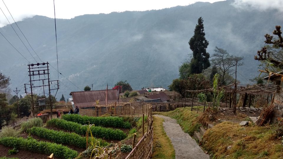 Photo of Jaubari, Sikkim, India by Kiran Kumnoor (Little Detours)