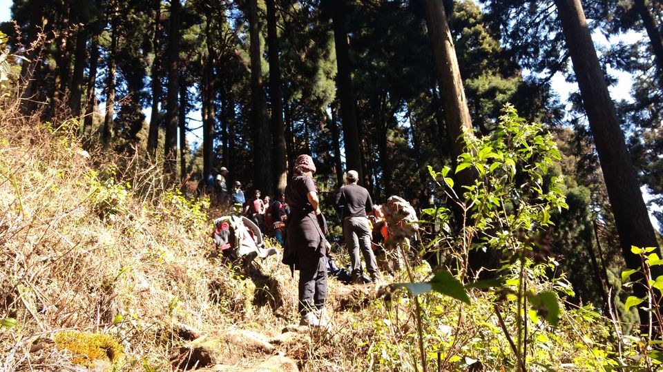 Photo of Trek to Sandakphu | The Eastern Himalayan Ranges by Kiran Kumnoor (Little Detours)
