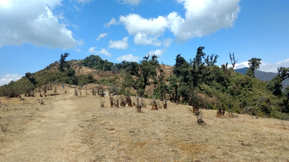 Photo of Trek to Sandakphu | The Eastern Himalayan Ranges by Kiran Kumnoor (Little Detours)