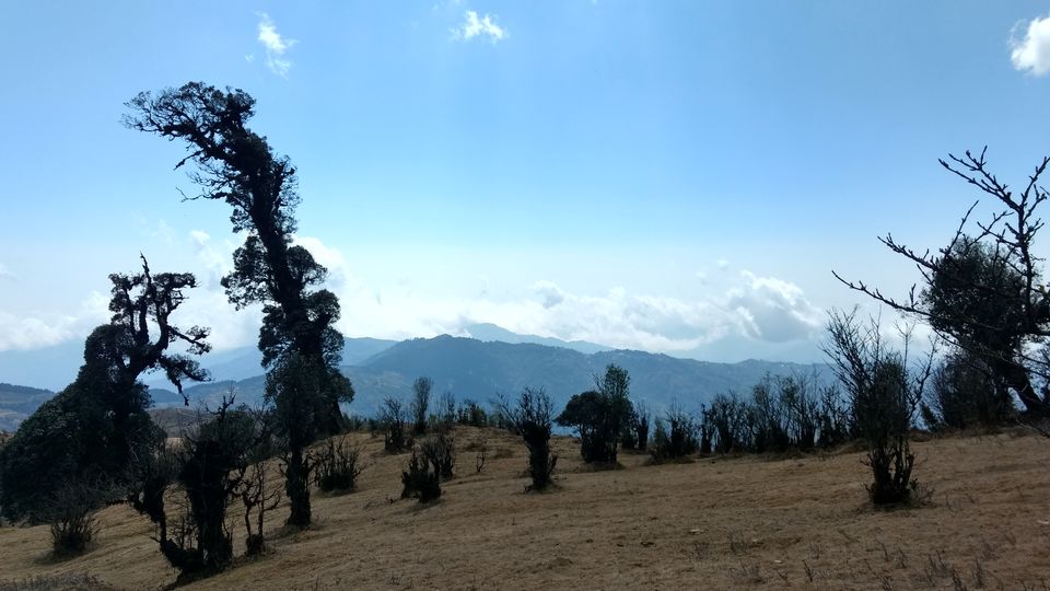 Photo of Trek to Sandakphu | The Eastern Himalayan Ranges by Kiran Kumnoor (Little Detours)