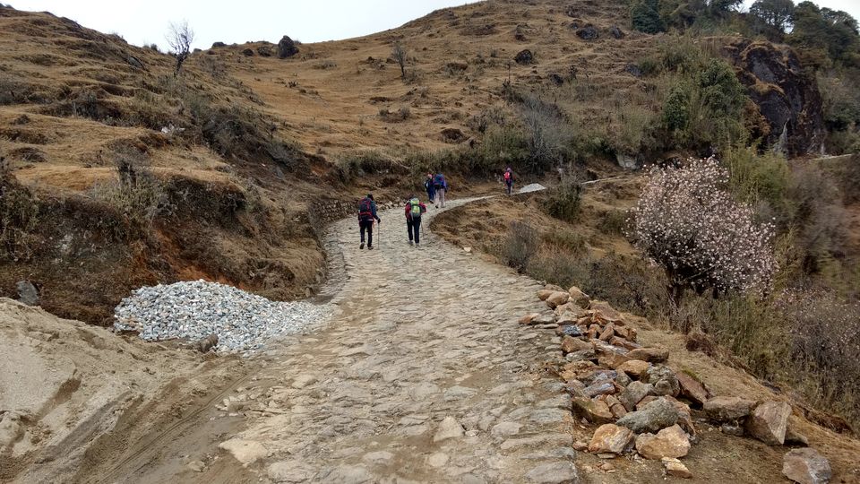 Photo of Trek to Sandakphu | The Eastern Himalayan Ranges by Kiran Kumnoor (Little Detours)