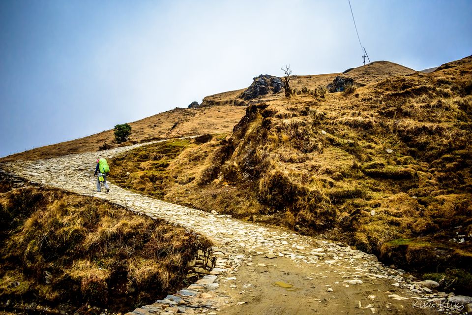 Photo of Trek to Sandakphu | The Eastern Himalayan Ranges by Kiran Kumnoor (Little Detours)