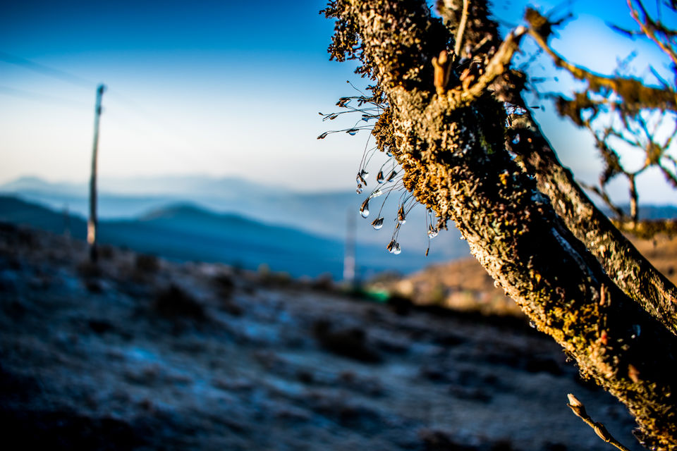 Photo of Trek to Sandakphu | The Eastern Himalayan Ranges by Kiran Kumnoor (Little Detours)