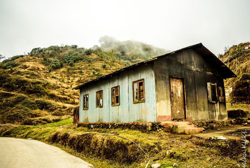 Photo of Trek to Sandakphu | The Eastern Himalayan Ranges by Kiran Kumnoor (Little Detours)