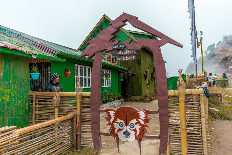 Photo of Trek to Sandakphu | The Eastern Himalayan Ranges by Kiran Kumnoor (Little Detours)