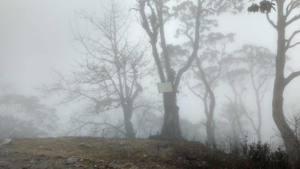 Photo of Trek to Sandakphu | The Eastern Himalayan Ranges by Kiran Kumnoor (Little Detours)