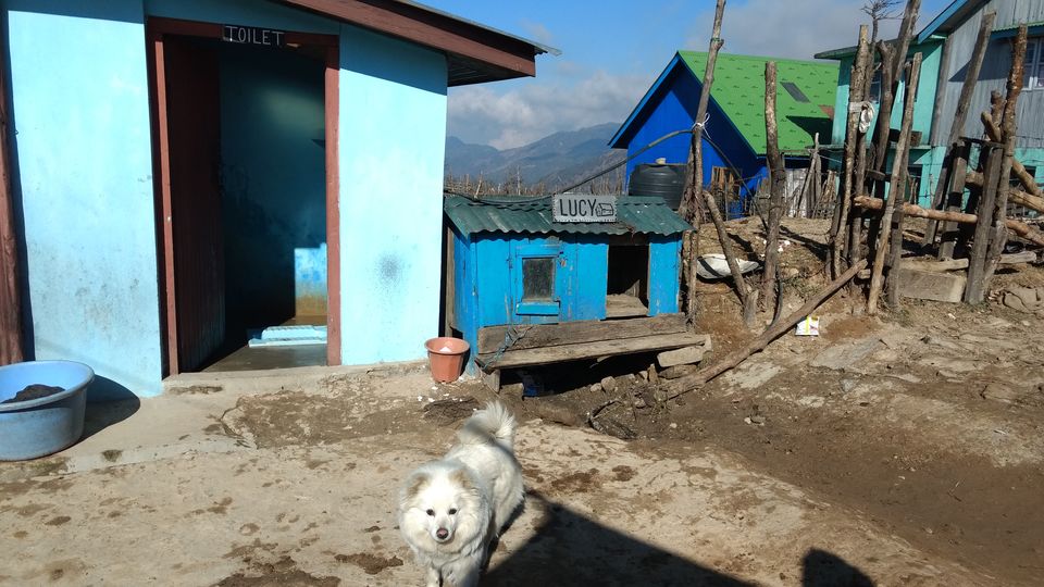Photo of Trek to Sandakphu | The Eastern Himalayan Ranges by Kiran Kumnoor (Little Detours)