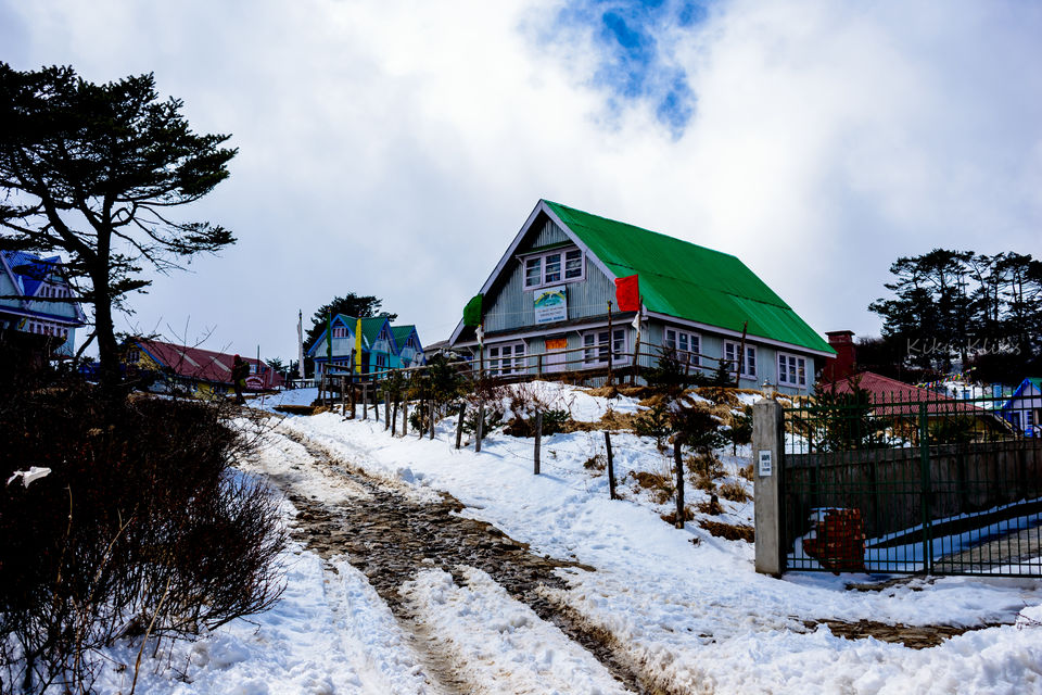 Photo of Trek to Sandakphu | The Eastern Himalayan Ranges by Kiran Kumnoor (Little Detours)