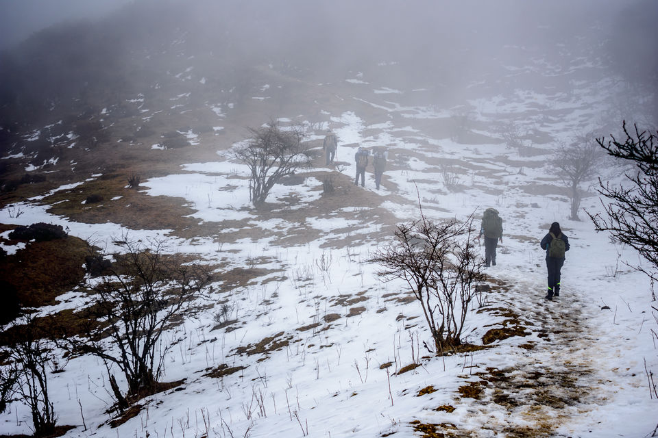 Photo of Trek to Sandakphu | The Eastern Himalayan Ranges by Kiran Kumnoor (Little Detours)